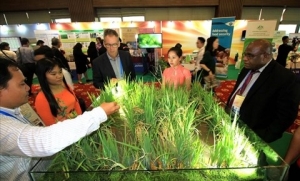 Xem mô hình nông nghiệp công nghệ cao tại triển lãm APEC ở Cần Thơ