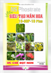 SIÊU TẠO MẦM HOA