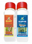 Cặp BLAST - SÁT KHUẨN LẠNH (Đạo ôn - Vi khuẩn)